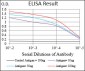 EGFR Antibody